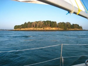 sortie-mer-golfe-morbihan